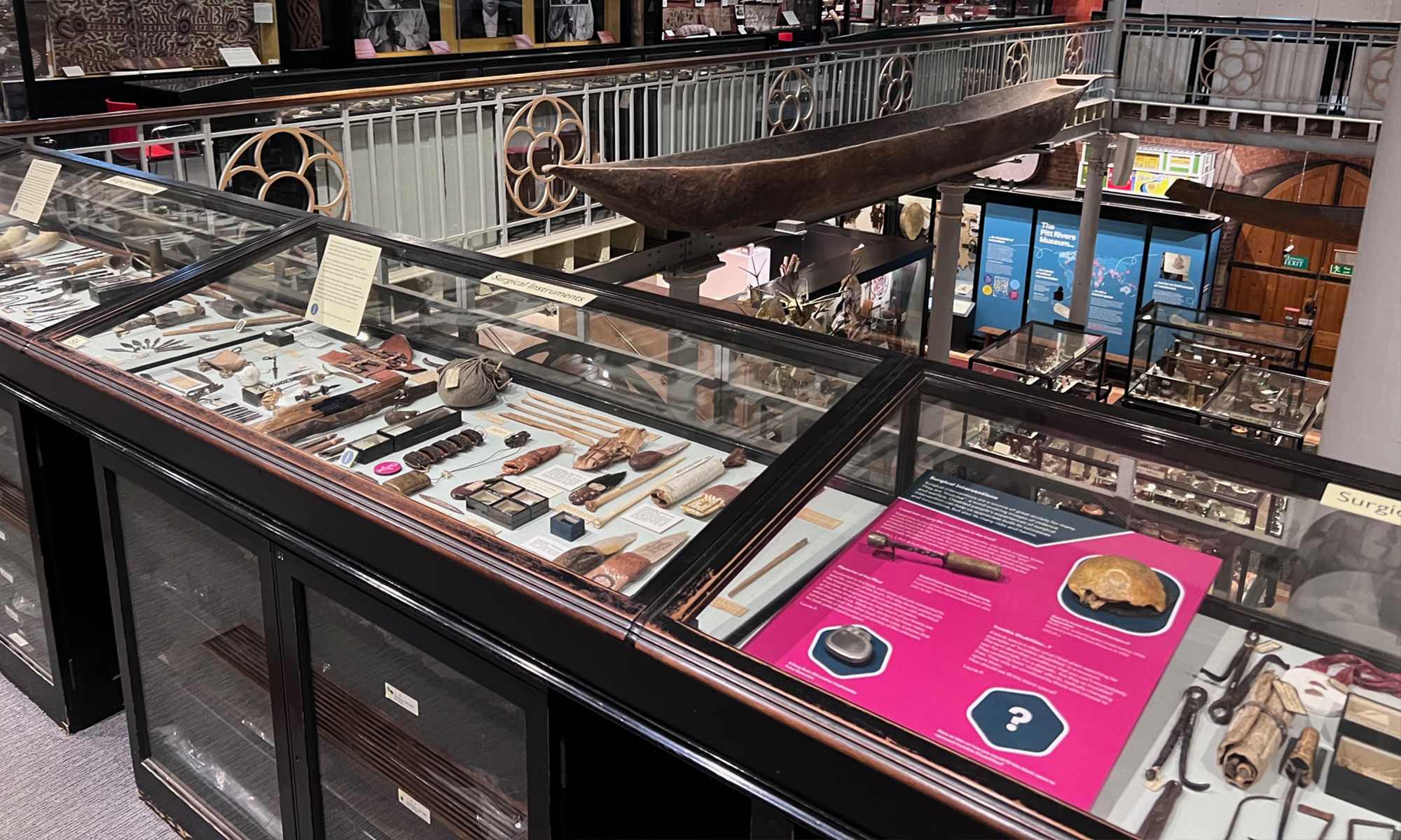 View of a bright pink graphic in a desktop display case on the first floor of the Pitt Rivers Museum.