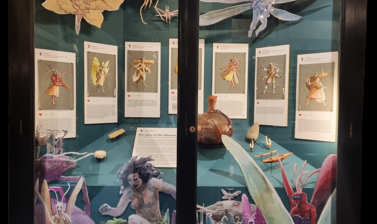 A tall display case with two glass, full-height doors with seven paintings arranged in a row and a slanted platform on which objects are placed