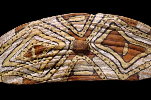 Decorated shield